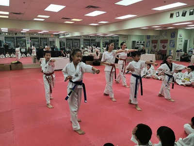 E2 Taekwondo Class